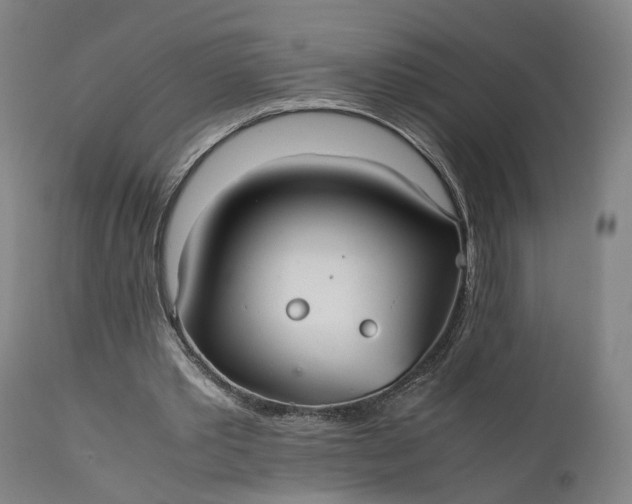 X0000111210389200907151442