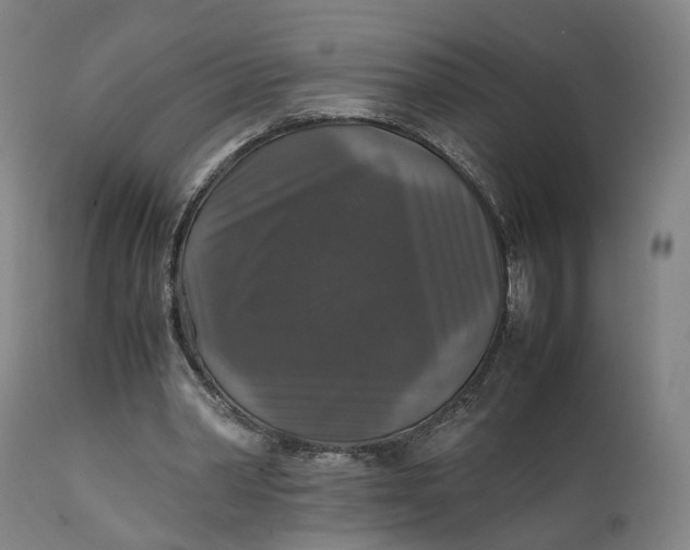 X0000111210390200907151442