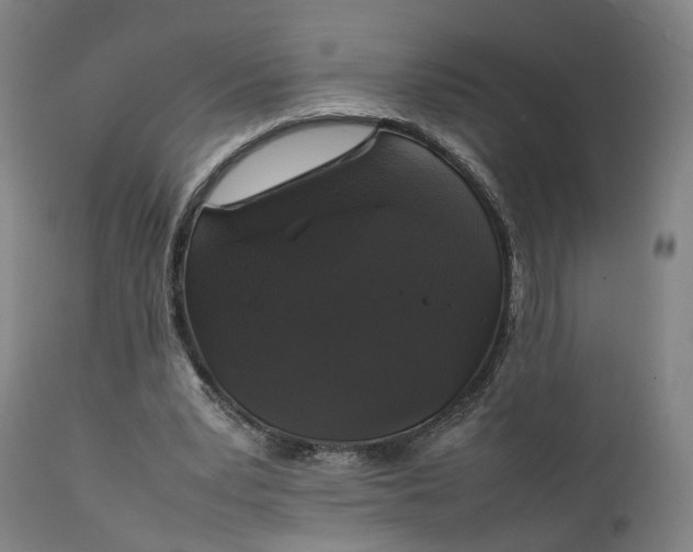 X0000111210391200907151442