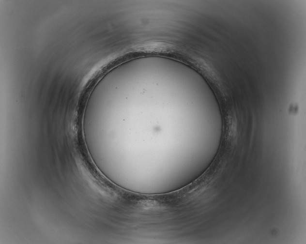 X0000111210392200907151442