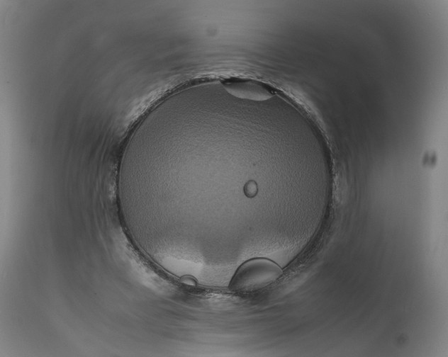 X0000111210393200907151442