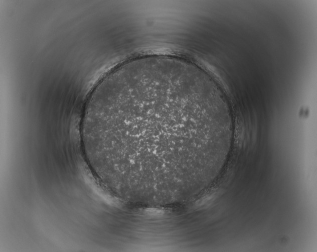 X0000111210394200907151442