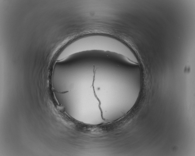 X0000111210395200907151442