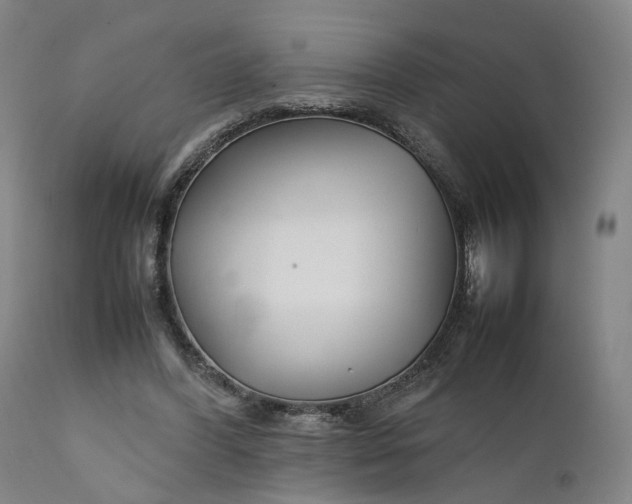 X0000111210396200907151442