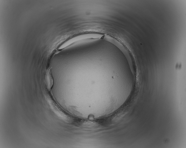 X0000111210397200907151442