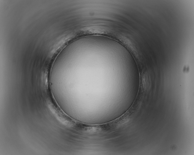 X0000111210398200907151442