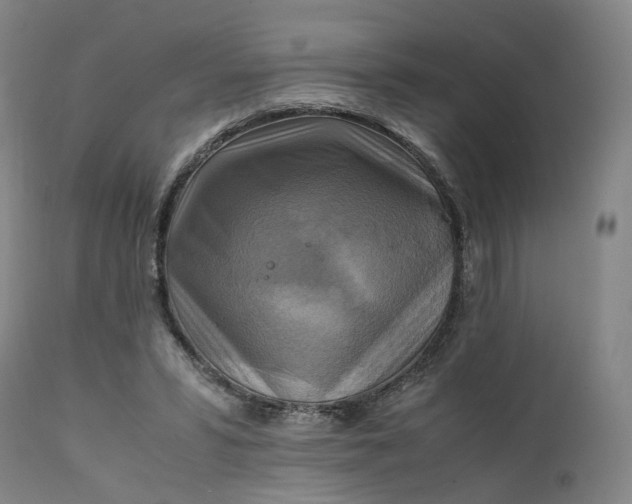 X0000111210399200907151442