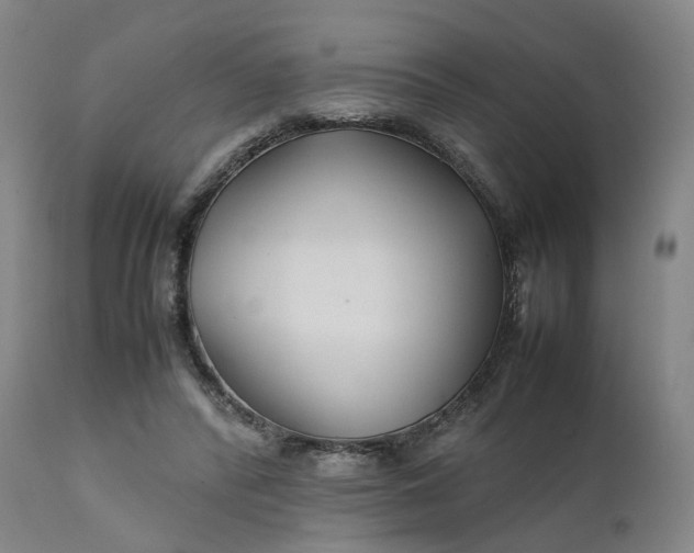 X0000111210400200907151442