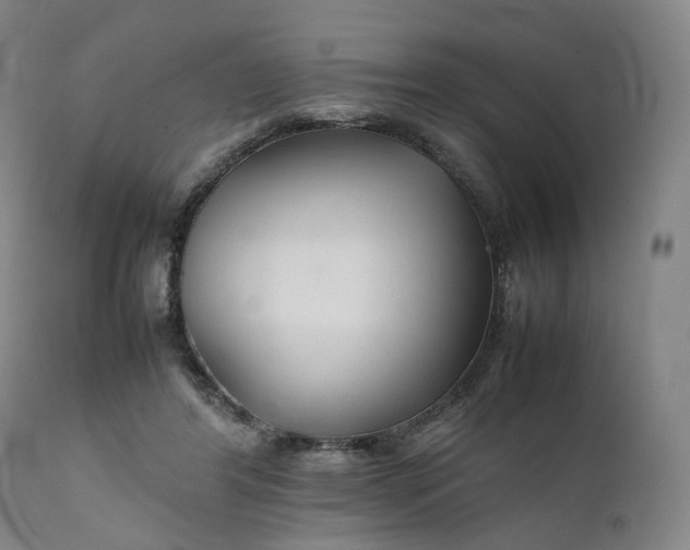 X0000111210404200907151442