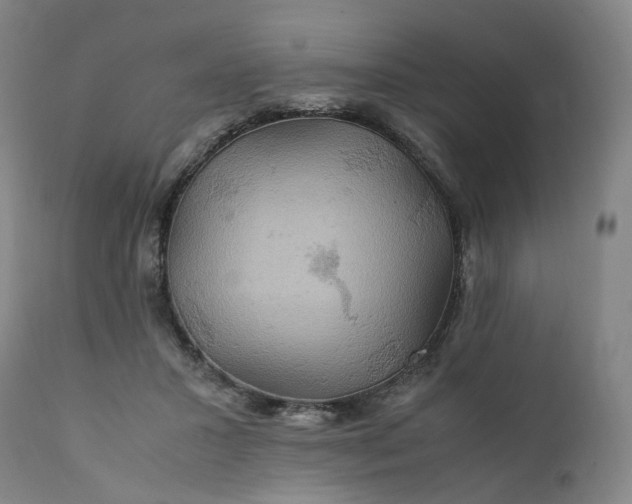 X0000111210407200907151442