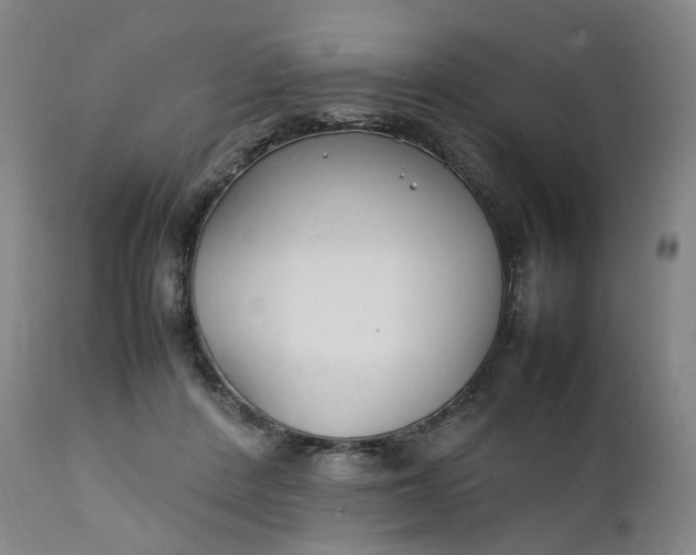 X0000111210408200907151442