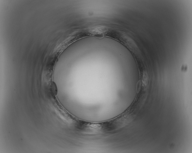 X0000111210409200907151442