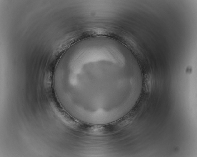 X0000111210410200907151442