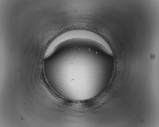 X0000111210411200907151442