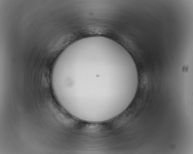 X0000111210414200907151442