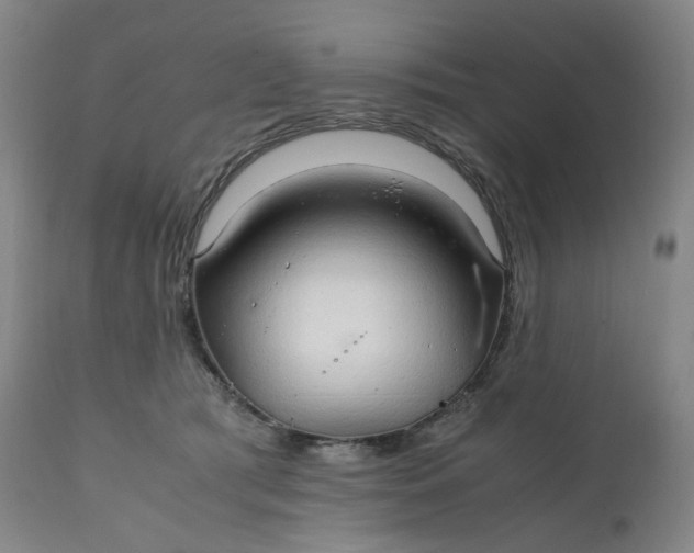 X0000111210417200907151442