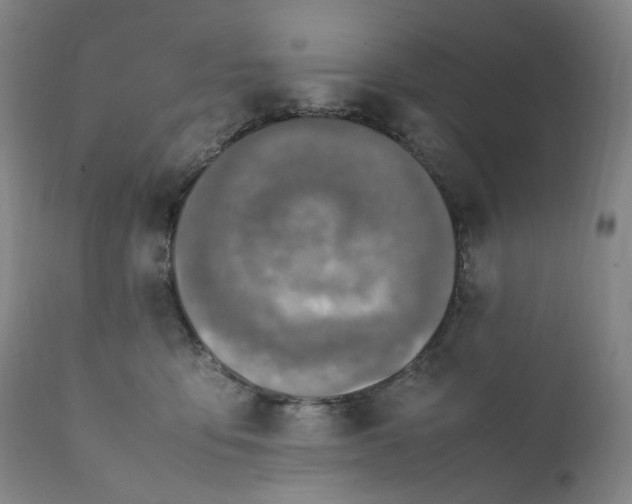 X0000111210419200907151442