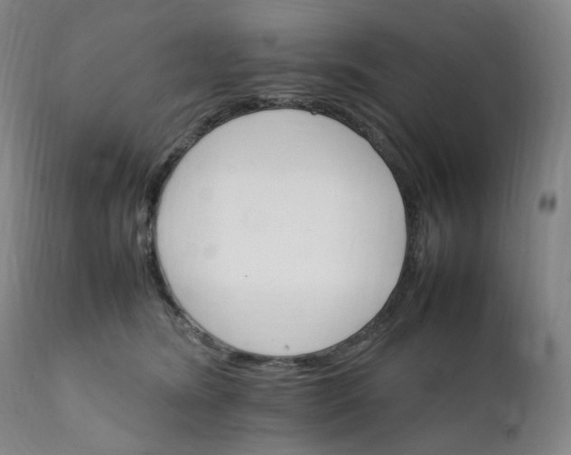 X0000111210420200907151442