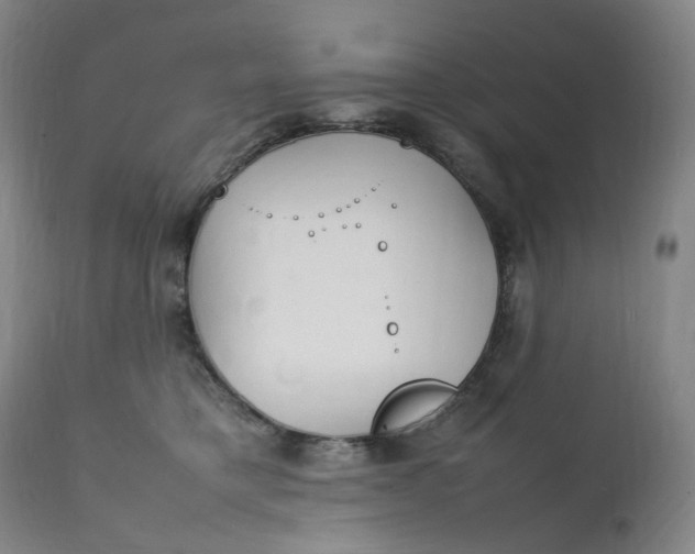 X0000111210421200907151442