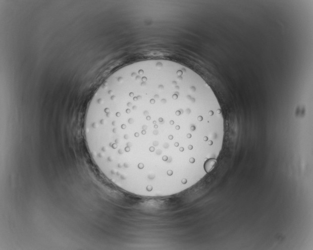 X0000111210422200907151442