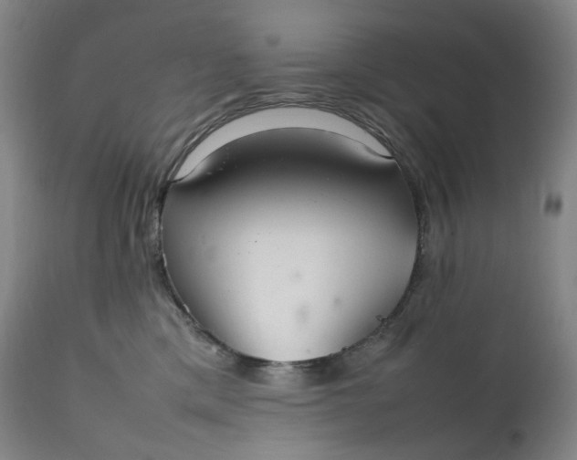 X0000111210425200907151442