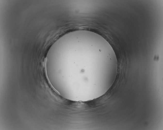 X0000111210427200907151442