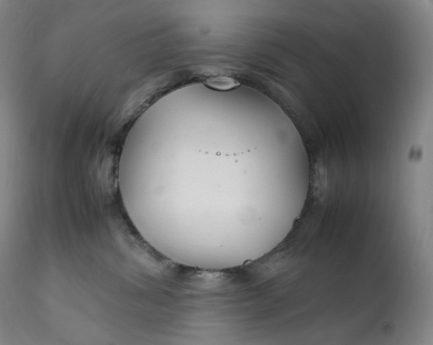 X0000111210428200907151442