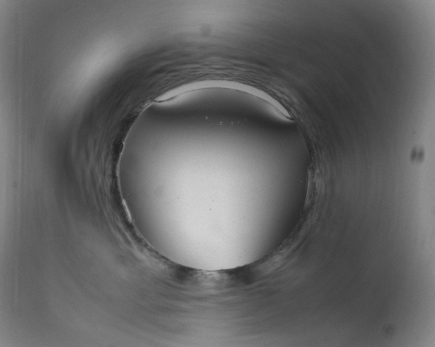 X0000111210429200907151442