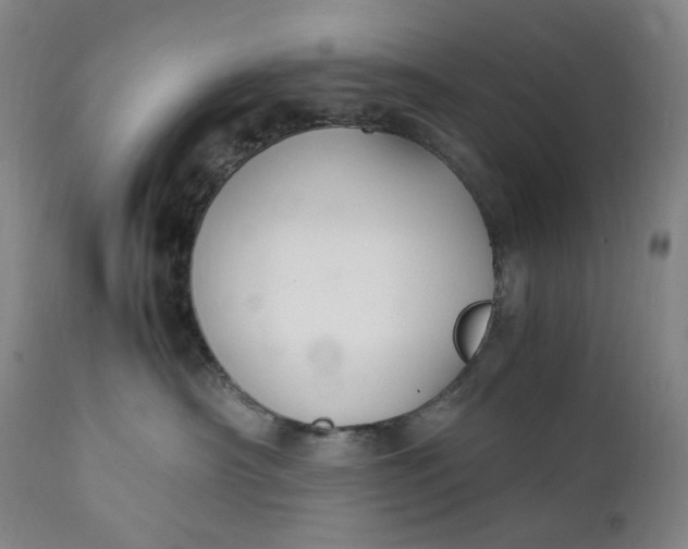 X0000111210430200907151442