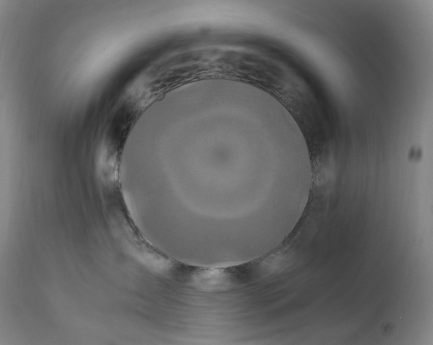 X0000111210431200907151441