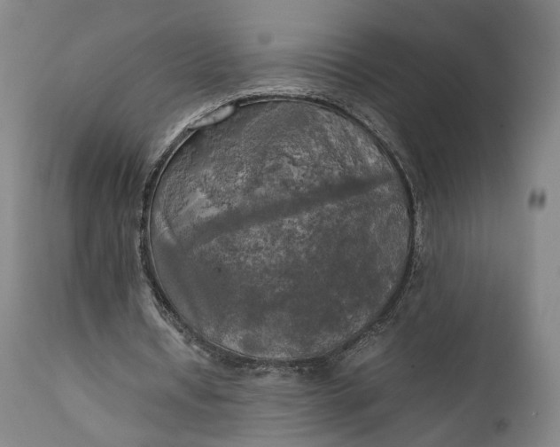 X0000111210434200907151441