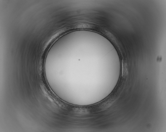 X0000111210435200907151441