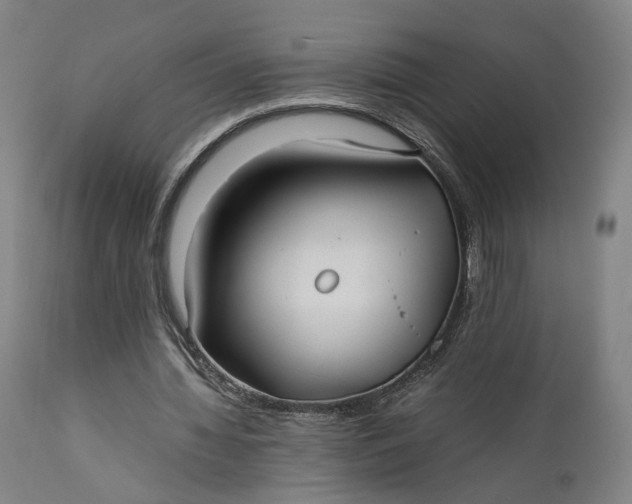 X0000111210436200907151441