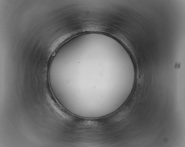 X0000111210437200907151441