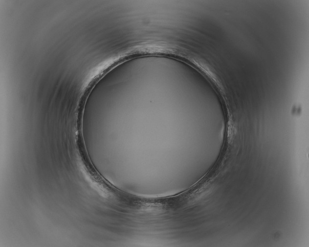 X0000111210438200907151441