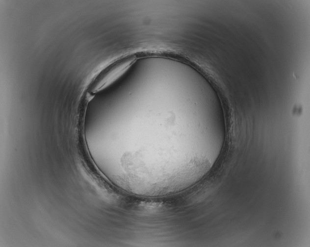 X0000111210440200907151441