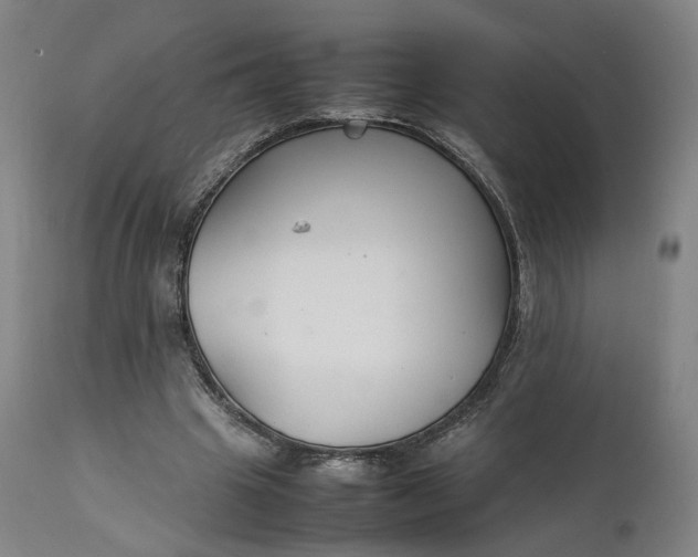 X0000111210441200907151441