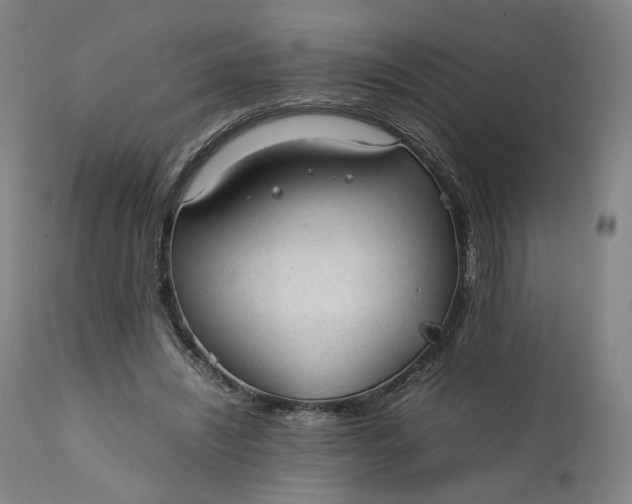 X0000111210444200907151441