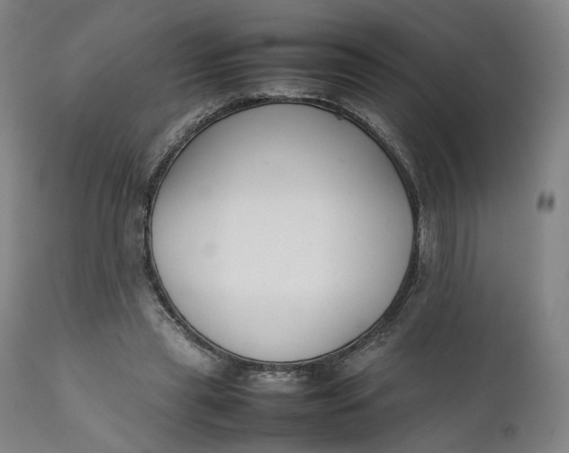 X0000111210445200907151441