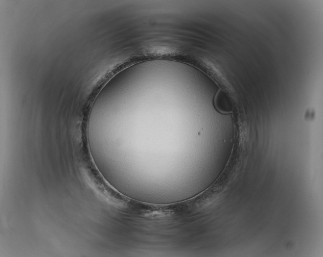 X0000111210447200907151441