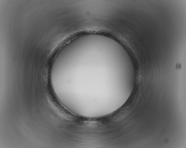 X0000111210448200907151441