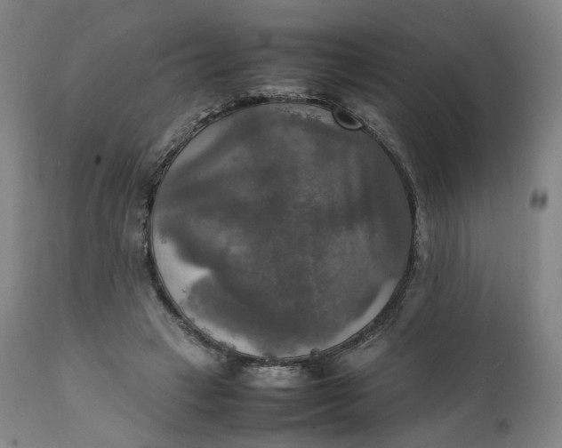 X0000111210449200907151441