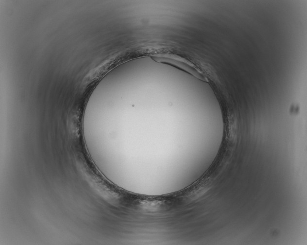 X0000111210450200907151441