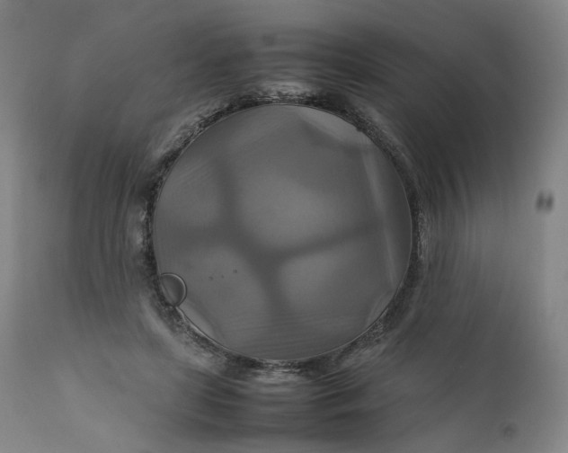 X0000111210451200907151441