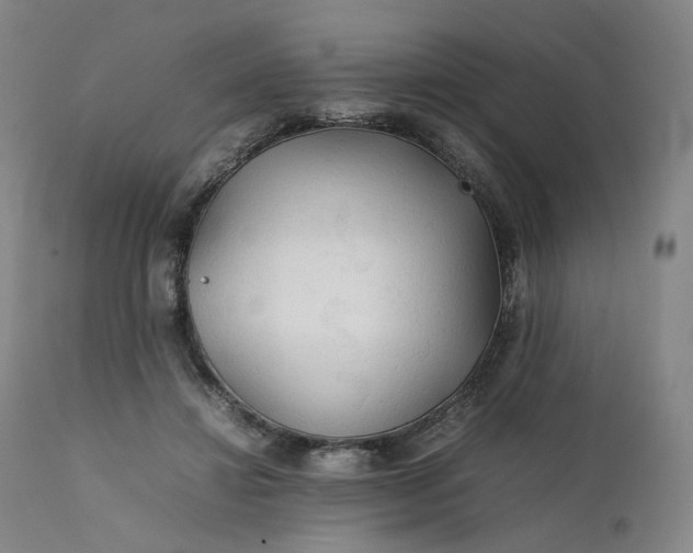 X0000111210452200907151441