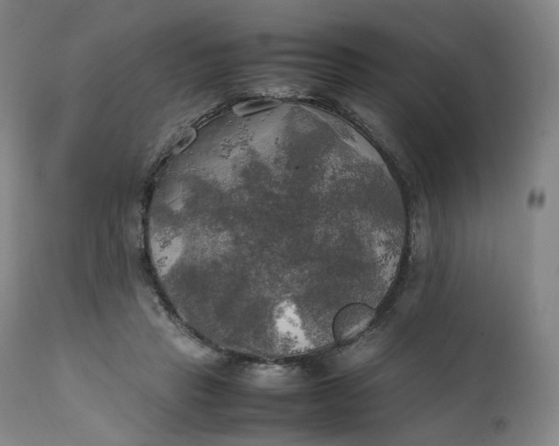 X0000111210453200907151441