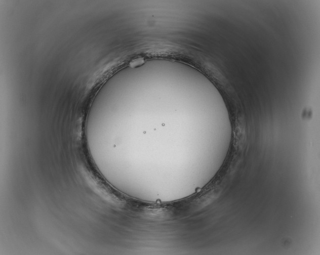 X0000111210454200907151441