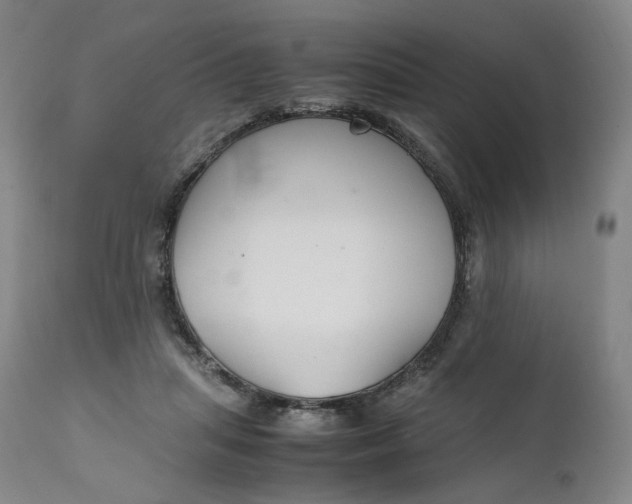 X0000111210455200907151441