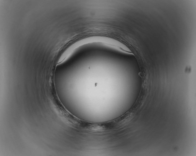 X0000111210456200907151441