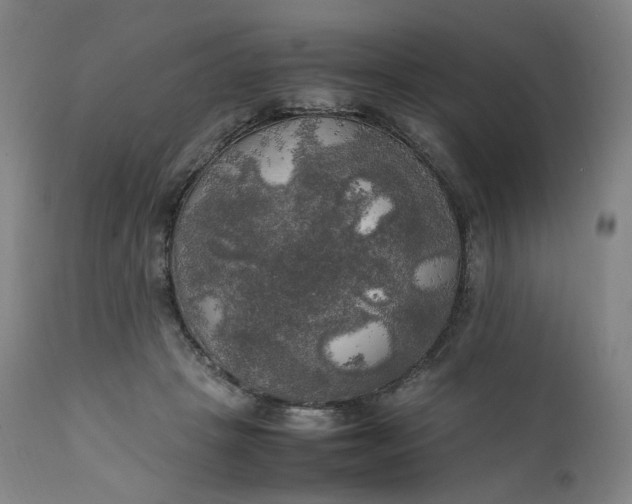 X0000111210457200907151441